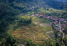 Pemerintah Dorong Pengembangan Desa Wisata Berbasis Ekoturisme