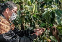 Wisata Tematik Kopi Jadi Trademark Wisata Nasional