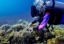 Program PEN Padat Karya Restorasi Terumbu Karang 2021 Jadi Upaya Pulihkan Ekonomi