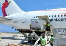 YIA Layani Impor 27 Ton Vanili Dari Papua Nugini