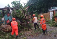 Kemenhub Siapkan Langkah Antisipasi Fenomena Badai La Nina