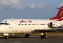 Pelita Air Jajagi Penerbangan Berjadwal Rute Domestik
