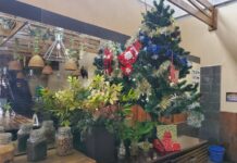 Pemerintah Batalkan Penerapan PPKM Level 3 Saat Nataru