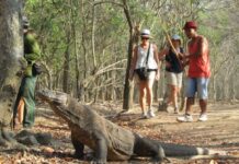 Menkeu Setuju Pajak Hotel dan Restoran untuk Kapal Wisata di Labuan Bajo