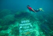 Desa Wisata Pulau Pahawang Fokus Kembangkan Alam dan Budaya