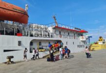 Layanan Angkutan Perintis Perlu Lebih Efisien dan Tepat Guna