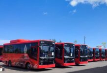 DAMRI Operasikan 24 Bus Listrik Dukung KTT G20