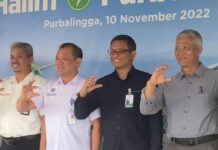 Penerbangan Jakarta ke Purbalingga Kembali Beroperasi