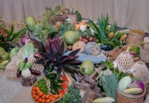 Keragaman Kuliner Nusantara Jadi Diplomasi Gastronomi dalam Spouse Program G20