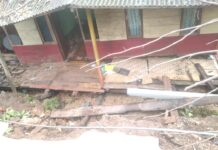 Rumah Warga Kabupaten Kepulauan Tanimbar Rusak Akibat Gempa M7,5