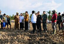 PRESIDEN JOKOWI TINJAU FOOD ESTATE DI KEEROM PAPUA
