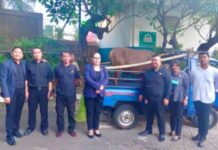 Hotel Amaroossa Grande Bekasi Lakukan Qurban dengan Serahkan Sapi