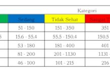 Pemkot Bekasi Sampaikan Hasil Pemantauan Kualitas Udara Kategori Sedang