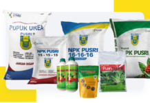 Kontribusi Pusri dalam Mendukung Program Pangan Nasional