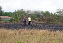 Kebakaran di Area Runway Bandara Tunggul Wulung Tidak Berdampak pada Operasional Penerbangan