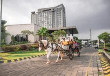 Liburan di Hotel Premium Grand Mercure Malang Mirama dengan Keliling Naik Dokar