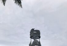 7 Fakta Menarik Kuala Kencana, Kota Modern di Timika Papua