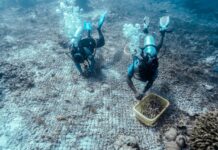 Kemenpar Perkuat Sinergi Selaraskan Kebijakan Pembangunan Pariwisata Nasional