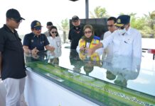 Menhub Cek Lokasi Bakal Bandara IKN Jelang Groundbreaking