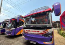 PO Putra Simas Luncurkan Dua Bus Baru Pakai Sasis Hino