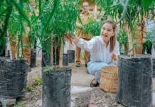 Lahan Kosong Milik Warga Medan Harus Dimanfaatkan Kelompok Tani