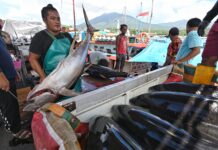 Tingkatkan Ekspor Perikanan Menhub akan Maksimalkan Potensi Pelabuhan Bitung