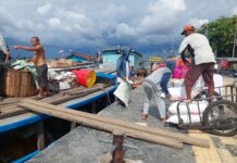 Perlu Merevitalisasi Angkutan Sungai