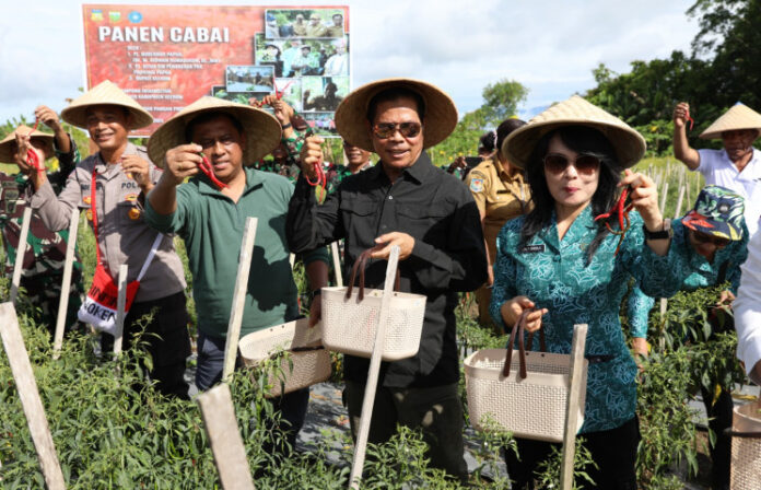 FOTO 27 Febr_Penjabat (Pj) Gubernur Papua Muhammad Ridwan Rumasukun bersama jajaran melakukan panen cabai di Distrik Skamto, Kabupaten Keerom. dok. papua.go.id