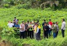 Kemenhub Pastikan Tidak Ada Penerbangan Terganggu Akibat Akses Menuju BIM Ditutup Sementara Akibat Banjir
