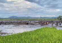 Korban Jiwa Banjir Lahar dan Longsor Sumbar Capai 50 Orang