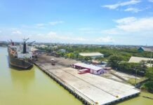 Pelindo Perluas Penerapan Autogate di 29 Pelabuhan Tahun 2024