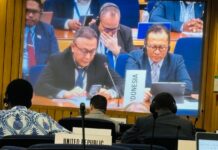 Indonesia Sampaikan Intervensi Keselamatan Pelayaran di Sidang IMO Council 132