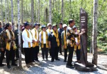 Presiden Canangkan Kawasan Wanagama Nusantara di IKN