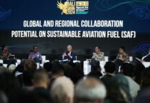 Strategi Pemerintah Bikin Langit Biru di Sektor Penerbangan