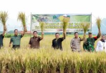 Kabupaten Purwakarta Tingkatkan Produksi Pertanian