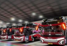 PO Bhisa Luncurkan Tujuh Bus Pariwisata Baru