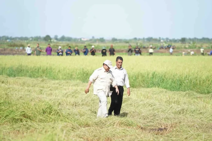 FOTO 3 Nov_Presiden Prabowo Subianto didampingi Menteri Pertanian Andi Amran Sulaiman meninjau lahan pertanian padi di Kabupaten Merauke, Papua Selatan.