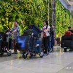 InJourney Airports Tanam Satu Juta Pohon di 37 Bandara Dukung Program Go Green