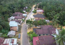 Perkembangan Situasi dan Penanganan Bencana pada 15 Januari 2025