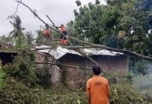 Peringatan Dini BMKG 13 – 14 Februari 2025