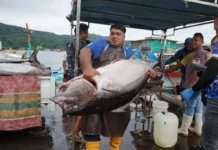 KKP Kembangkan Pelabuhan Eco Fishing Guna Terapkan PIT