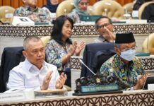 Angkutan Lebaran 2025 Lancar dengan Total Pergerakan 54,89% dari Penduduk Indonesia