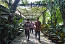 Kemenhub Pastikan Kelancaran dan Koordinasikan Penanganan Arus Balik Lebaran dari DIY