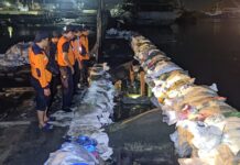 Aktivitas Pelabuhan Tanjung Emas Semarang Tidak Terdampak Banjir