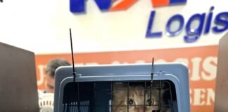 KAI Logistik Catat Kinerja 6,2 Juta Ton pada Triwulan III/2026