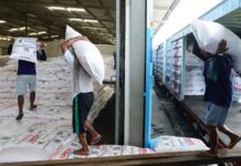 KAI Catat Lonjakan Angkutan Pupuk 94% hingga Mei 2025