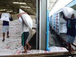 KAI Layani 13.920 Ton Pupuk hingga Juli 2026