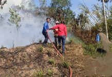 Ini Laporan Karhutla di Sembilan Provinsi Prioritas Tahun 2025