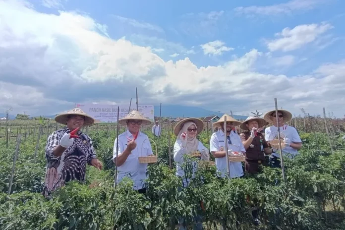 FOTO 21 Agst_Program Tanggung Jawab Sosial dan Lingkungan (TJSL), Pelni menggandeng petani lokal untuk menjadi pemasok sayuran. ist