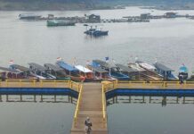 Layanan Dermaga di Jabar Bertransformasi Jadi Lebih Cepat dan Modern